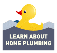 Check out our latest plumbing posts, today. Learn about options, common repairs, installation and savings!