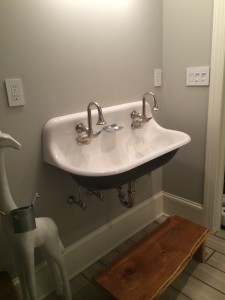 Kohler Double Sink