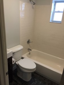 Bathroom Remodel