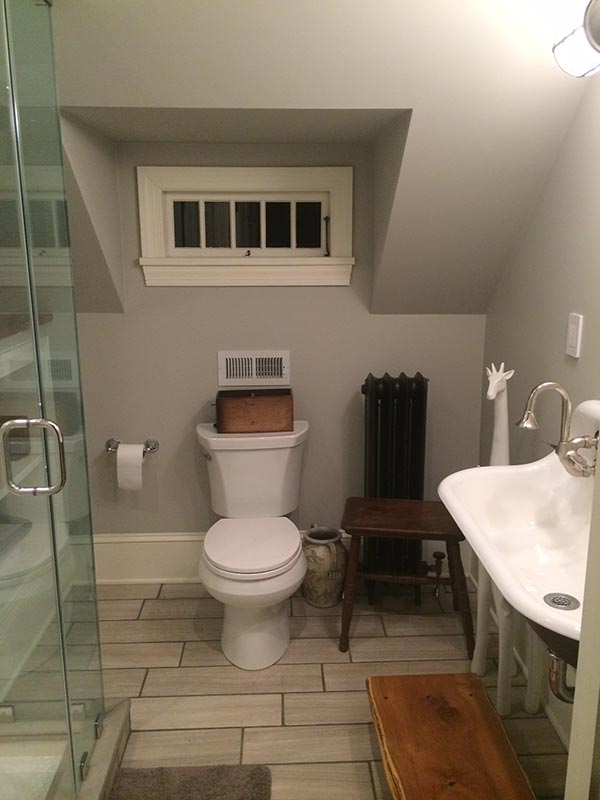 Bathroom Remodeling -- Toliet Double Sink