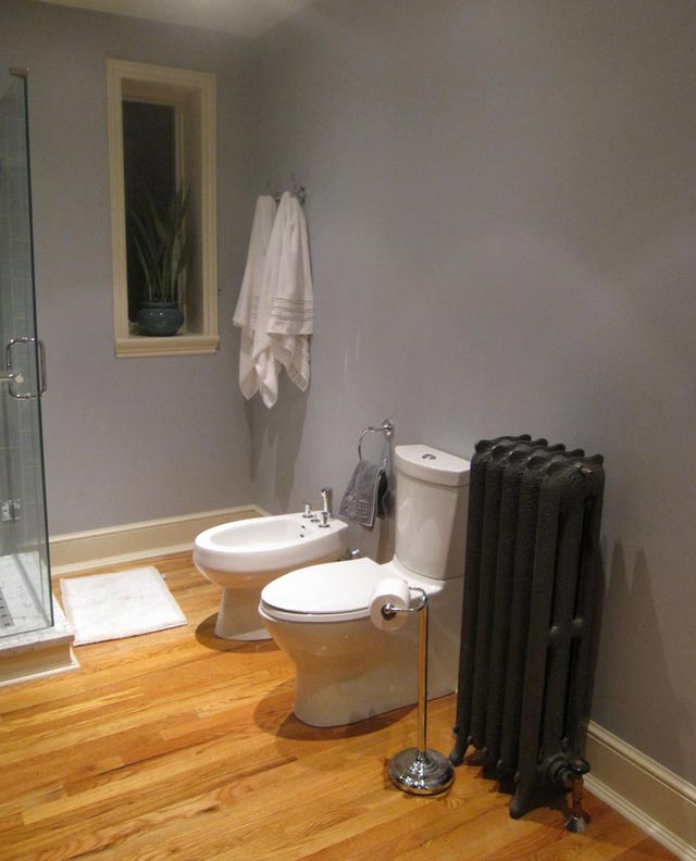 Bathroom Remodeling -- Toliet Bidet